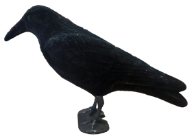 SMK CROW FULL BODY DECOY (CROW FULL BODY -FLOCK COATING)