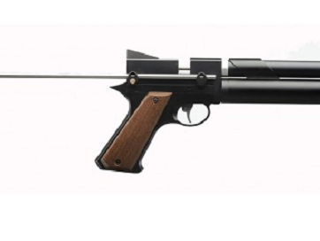 ARTEMIS PP750 .22