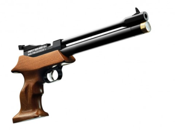 ARTEMIS PP800 .22
