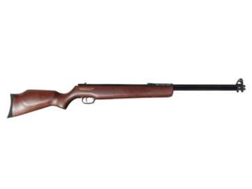 BEEMAN 2016S .22